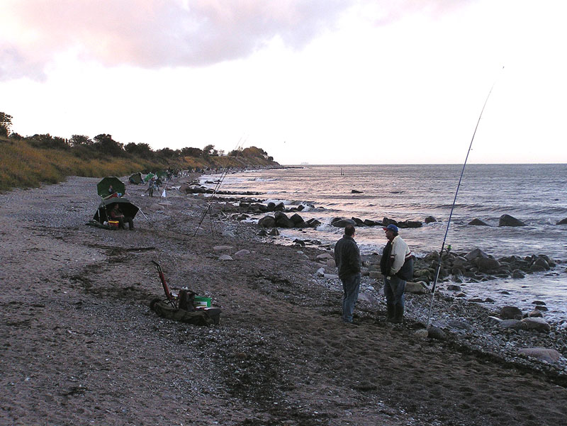 angler-110028_800px.jpg
