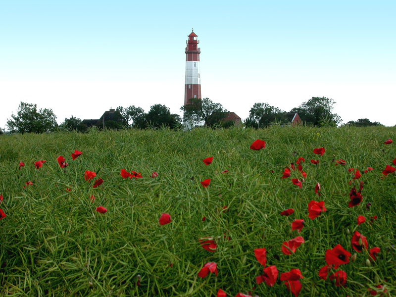 leuchtturm-fluegge-1999_800px.jpg