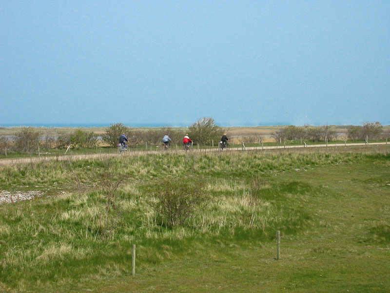radler3-2005-05_800px.jpg